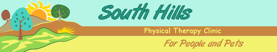 South Hills Physical Therapy